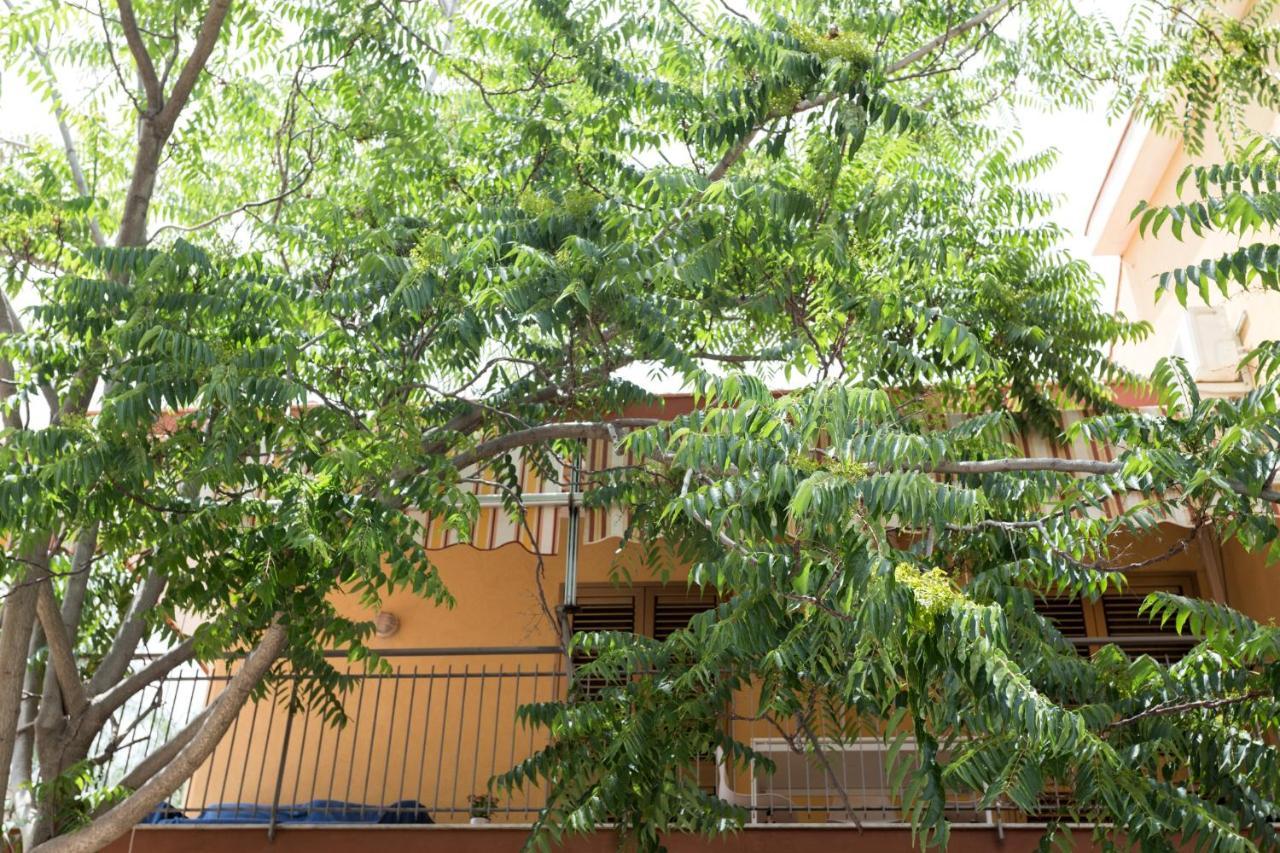 דירות אסראלה Casa Di Clara מראה חיצוני תמונה